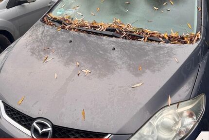 Mazda 5 244.765 km 990 &euro; Rostock-Warnemünde 18119