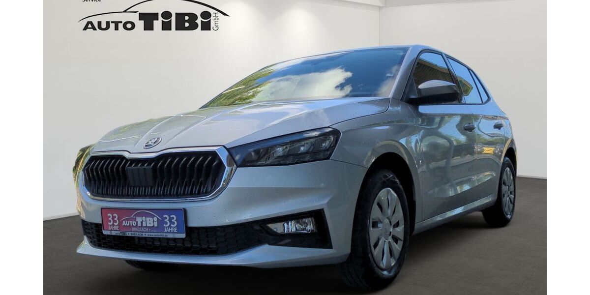 Skoda Fabia 18 km 19.995 &euro; Breisach 79206