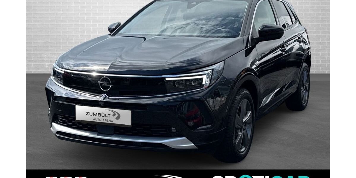 Opel Grandland (X) 8.923 km 22.900 &euro; Beckum 59269