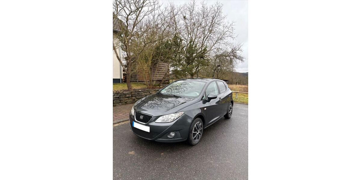 Seat Ibiza 113.100 km 4.890 &euro; Zellingen 97225