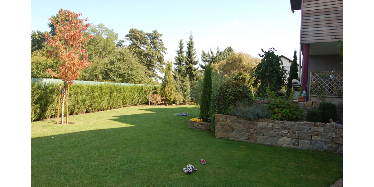 Architektenhaus in Feldrandlage mit ca. 350m² Wohnfl. und ca. 802m² Grundst.! - Einfamilienhaus Büttelborn | Angebot:26644562