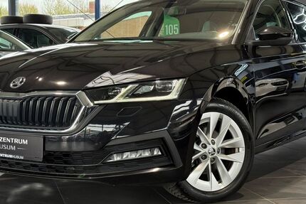 Skoda Octavia 118.384 km 19.490 &euro; Husum 25813