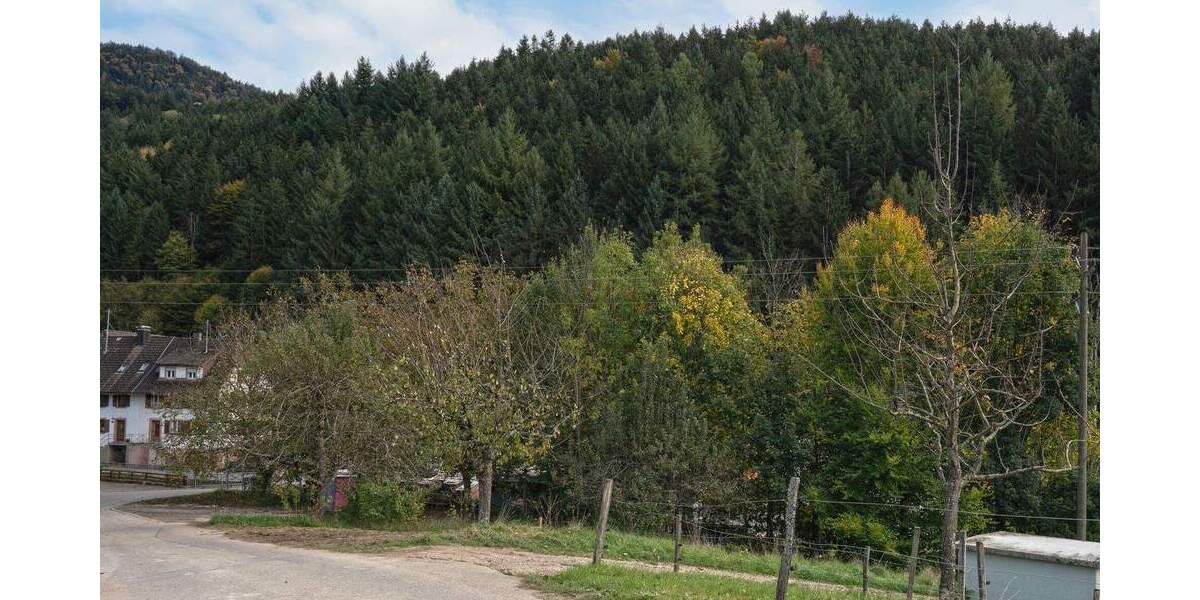 Grundstück Simonswald - 209.000&euro; | Angebot:25747047