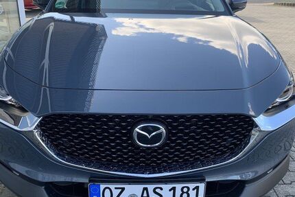Mazda CX-30 1.210 km 31.890 &euro; Oschatz 04758