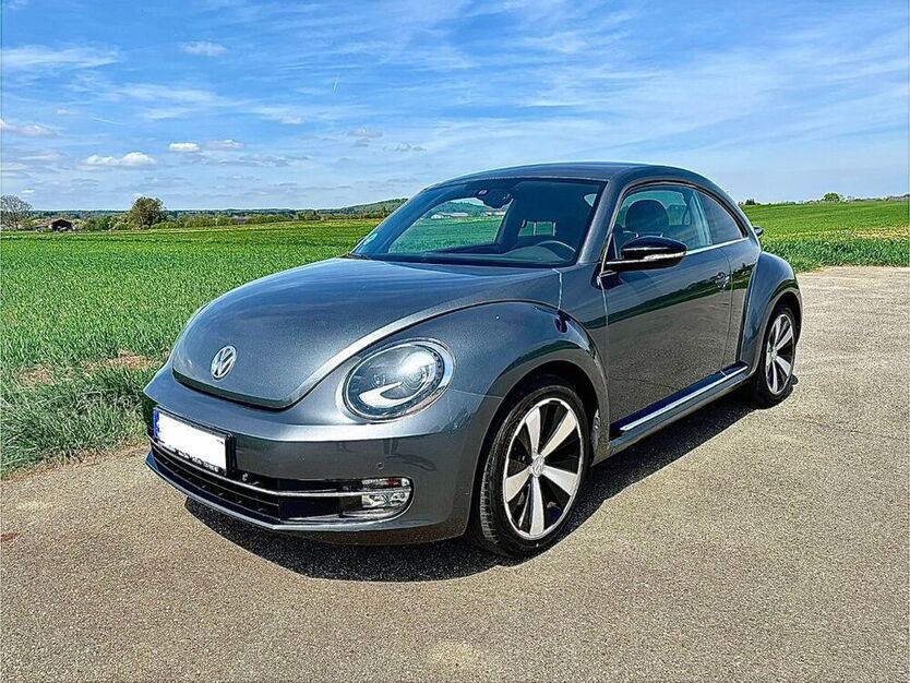 Beetle