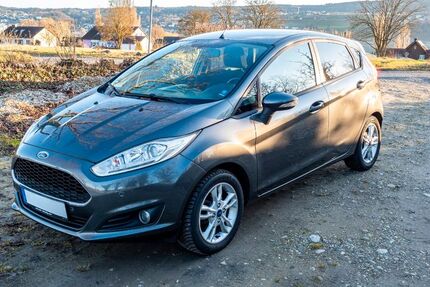 Ford Fiesta 100.500 km 6.600 &euro; Reichenau 78479