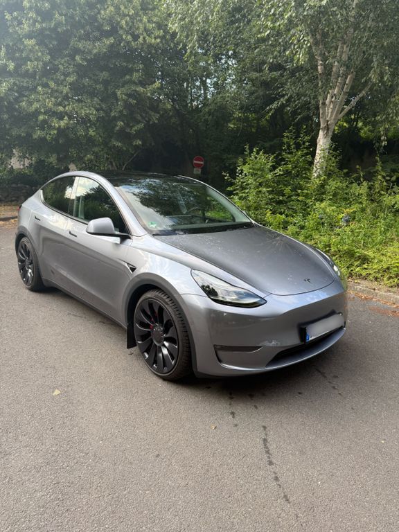 Model Y