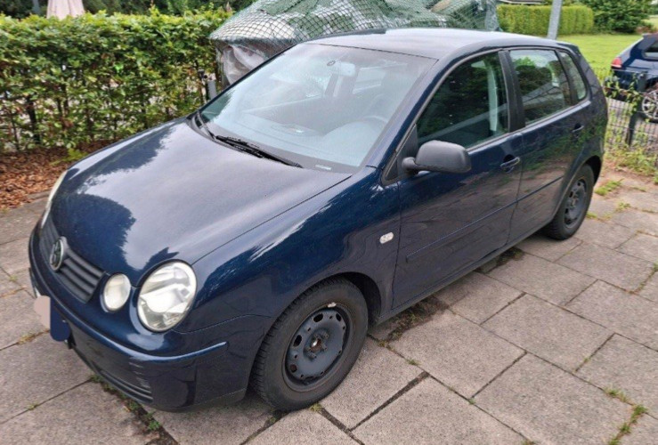 Polo