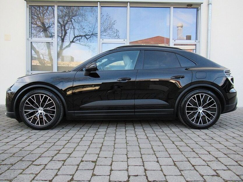 Macan