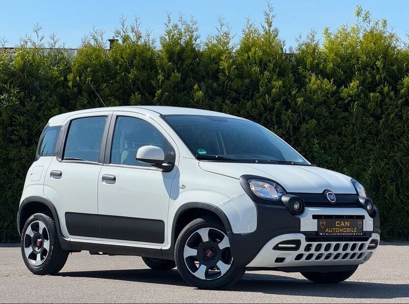 Panda