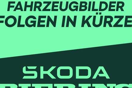 Skoda Scala 35.000 km 17.990 &euro; Schwielowsee OT Geltow 14548