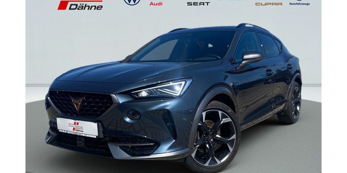 Cupra Formentor 41.579 km 27.800 &euro; Wittenberge 19322
