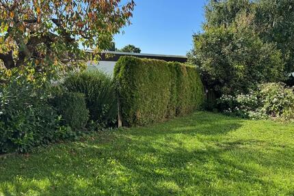 Helle, freundliche Wohnung - ideal für Paare 3 zimmer