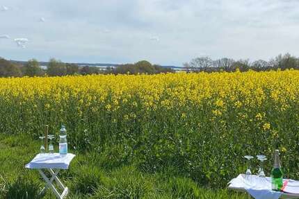 Grundstück Schleswig - 179.000&euro; | Angebot:24567698