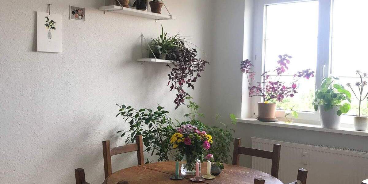 9120685 | helle 2-Zimmerwohnung mit historischen Dielenböden 2 zimmer