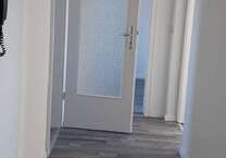 Wohnung zum Mieten in Döbeln 295 € 60 m²