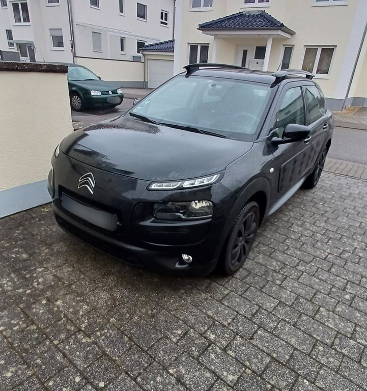C4 Cactus