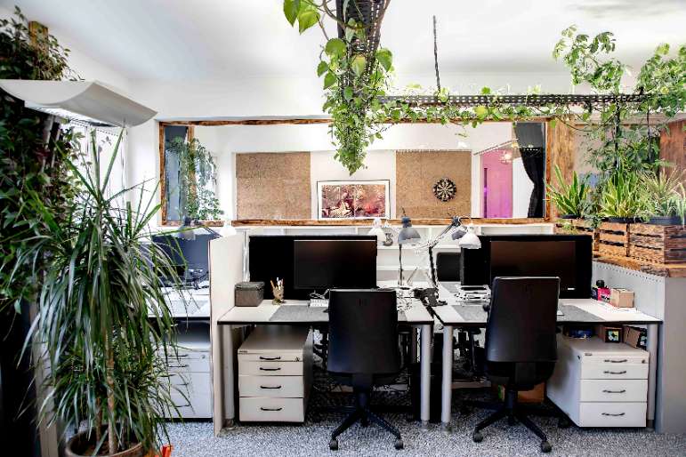 Büro in Köln 250 € 8 m²