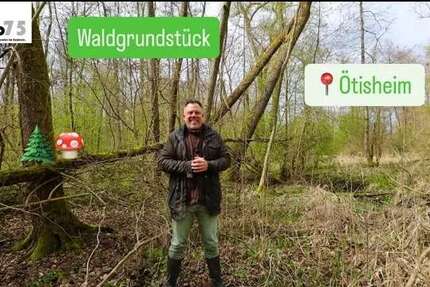 Grundstück Ötisheim - 7.500&euro; | Angebot:26115055