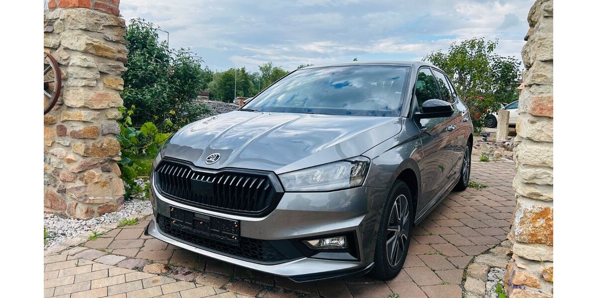 Skoda Fabia 36.784 km 15.980 &euro; Meuselwitz OT Wintersdorf 04610