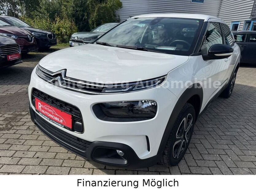 C4 Cactus