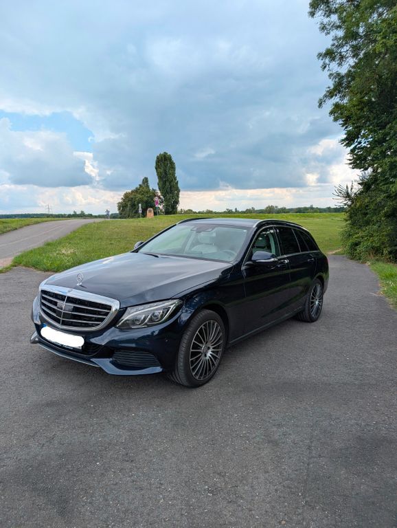 C 250