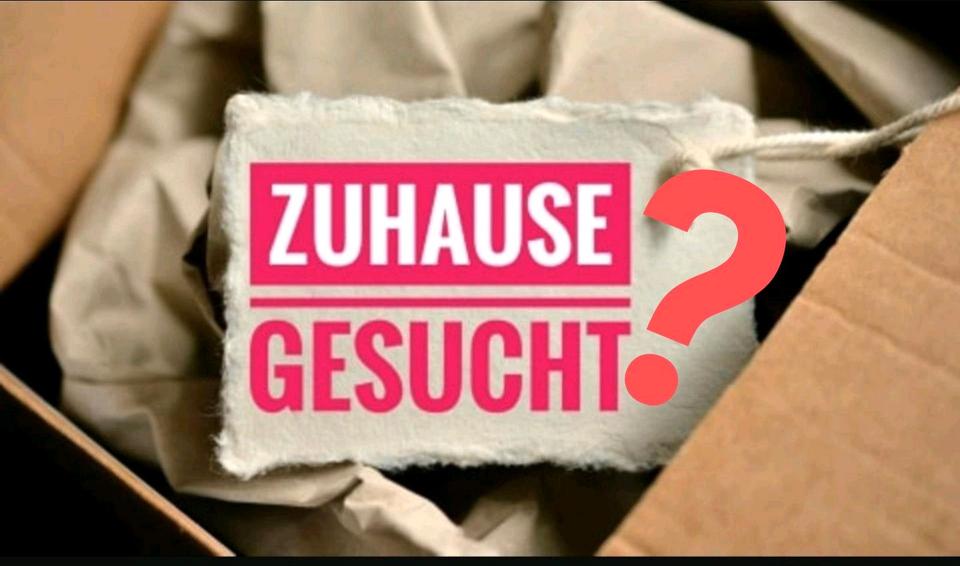 Hochparterre Salzwedel - 2 Zimmer, 49 m&sup2;, 490&euro; | Angebot:25456961