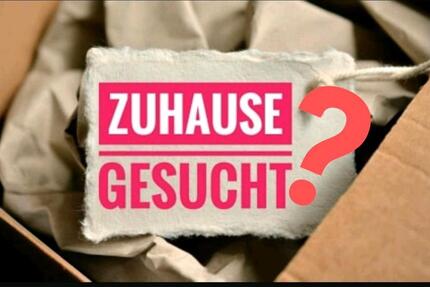 Wohnung Salzwedel - 2 Zimmer, 49 m&sup2;, 490&euro; | Angebot:25456961