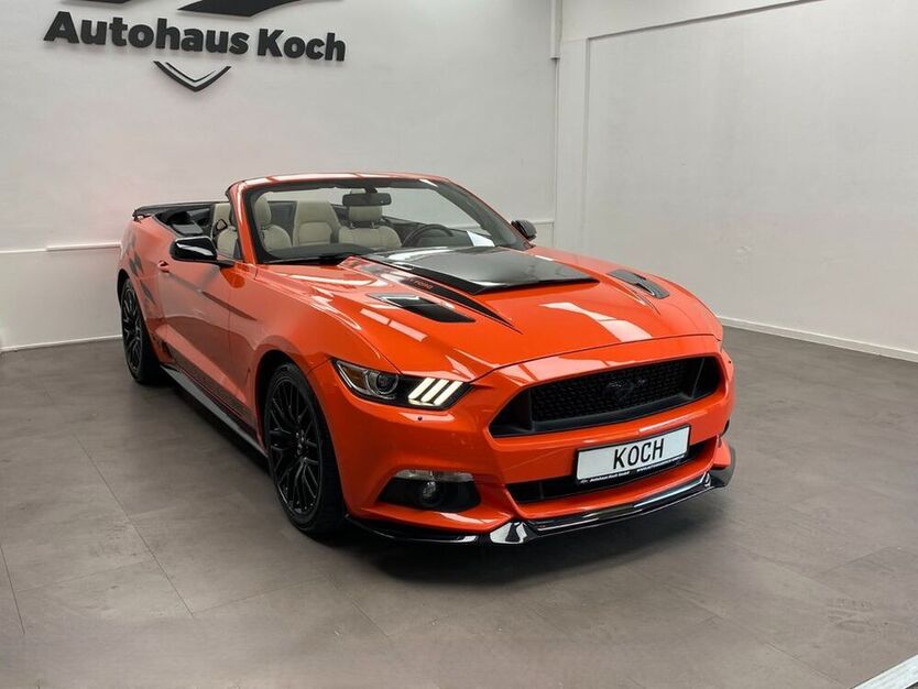 Mustang