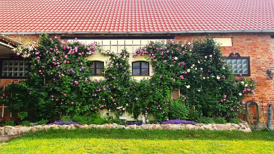 Dachgeschoßwohnung Ziesar - 2 Zimmer, 61 m&sup2;, 380&euro; | Angebot:24744105