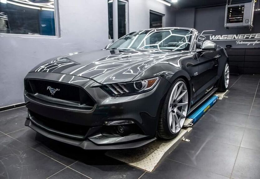 Mustang