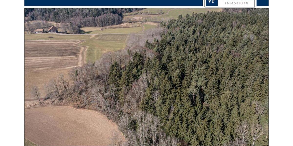 Attraktive Mischwaldgrundstücke mit viel Potenzial - Grundstück Chamerau / Bärndorf Bärndorf | Angebot:26531488