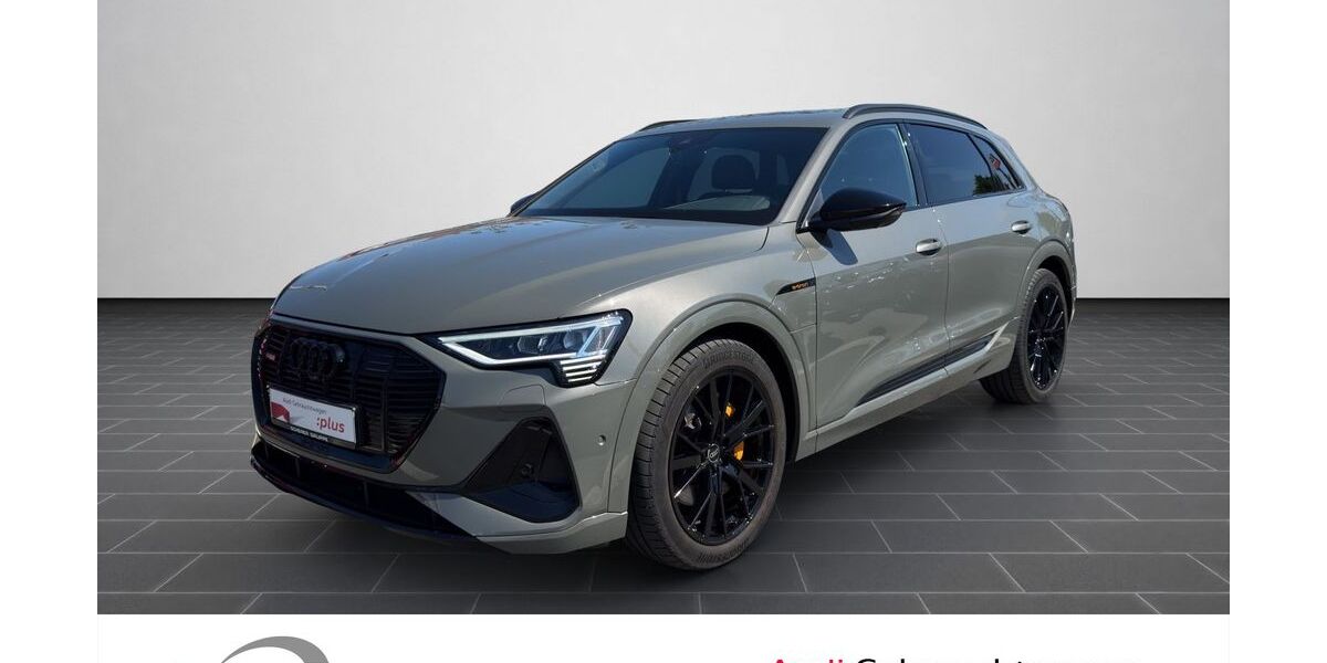 Audi e-tron 26.196 km 39.990 &euro; Ludwigshafen 67063