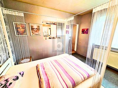 DREI HÄUSER+HOF, HALLE, WERKSTATT-MODERNISIERT ! - Mehrfamilienhaus, Wohnhaus Dittelsheim-Heßloch Heßloch | Angebot:26093912