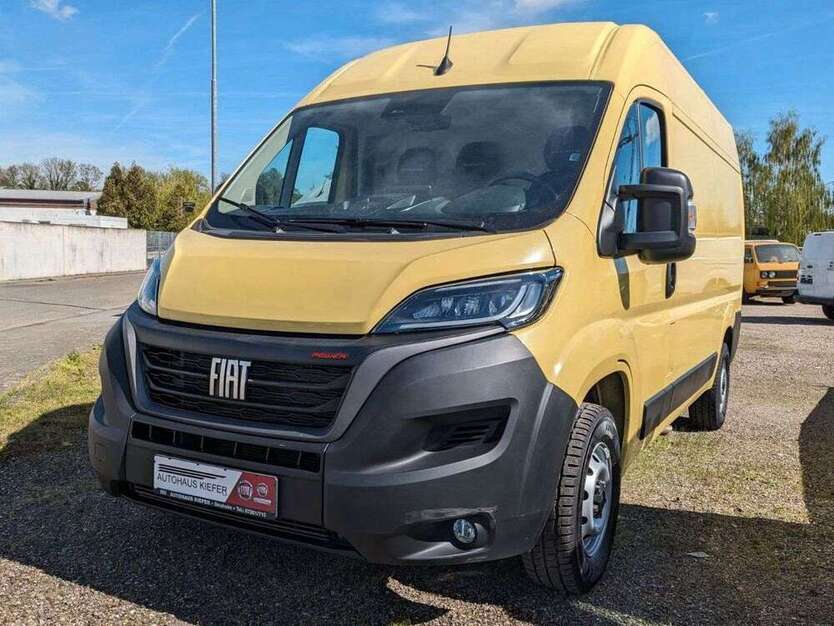 Ducato