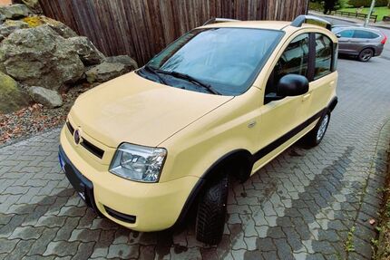 Fiat Panda 132.000 km 4.700 € Burgbrohl 56659