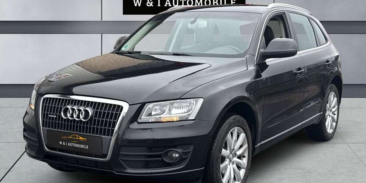 Audi Q5 250.000 km 8.690 &euro; Mainz 55120