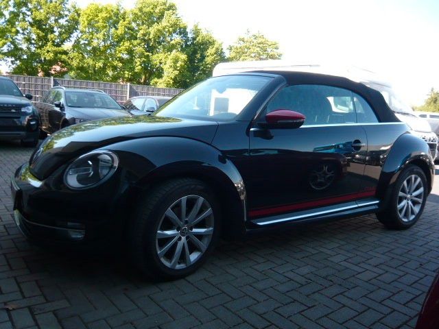 Beetle