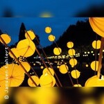 Goldener Sonntag in Bad Pyrmont