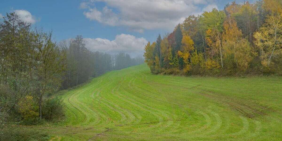 Grundstück in Kößlarn 164.925 € 21990 m² zimmer