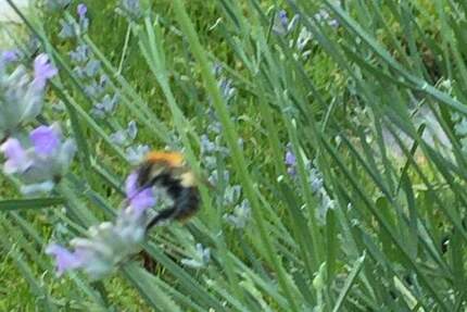 Grundstück Olching - 730.000&euro; | Angebot:24918660