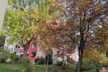 Wohnung zum Kaufen in Ditzingen 229.000 € 78 m² 3 zimmer