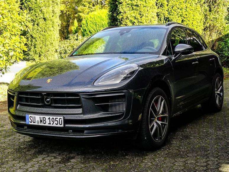 Macan
