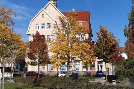 Wohnung Heidenau Mügeln - 2 Zimmer, 48 m&sup2;, 408&euro; | Angebot:26930157