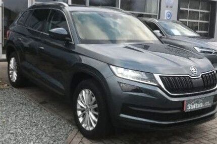 Skoda Kodiaq 178.000 km 20.000 &euro; Bad Zwischenahn 26160