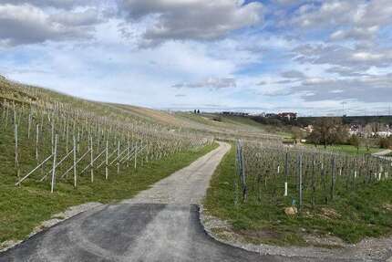 Grundstück in Bönnigheim 9.500 € 1748 m² zimmer