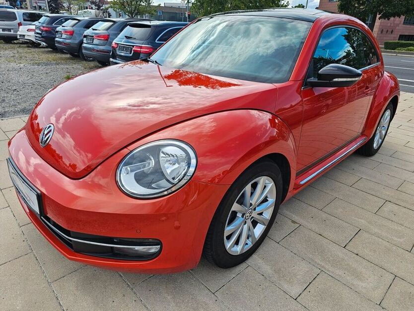 Beetle