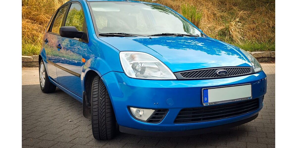 Ford Fiesta 41.500 km 3.899 &euro; Leisnig 04703