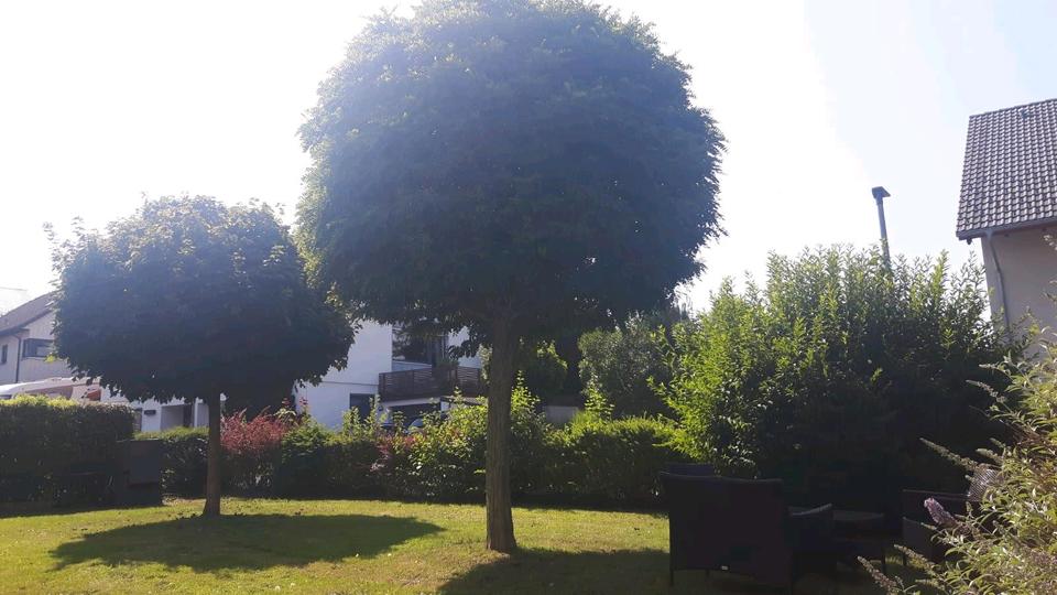 Hochparterre Bad Waldsee - 3 Zimmer, 70 m&sup2;, 220.000&euro; | Angebot:26253255