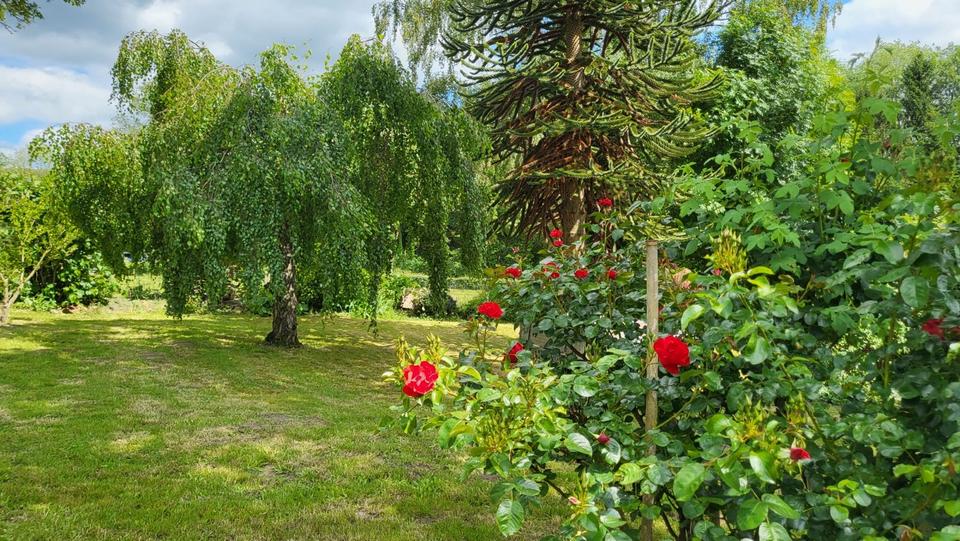 Bauernhaus, Landhaus Aachen Aachen-Mitte - 449.000&euro; | Angebot:26940562